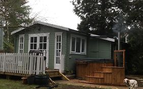 Woodland Cabin With Private Wood-Fired Hot-Tub